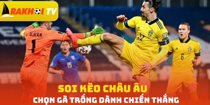Soi kèo châu Âu chọn Gà Trống dành chiến thắng