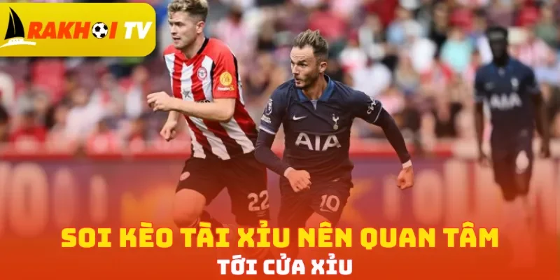 Soi kèo Tài Xỉu nên quan tâm tới cửa Xỉu